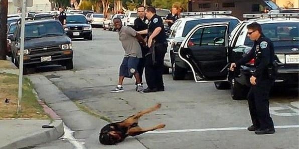 Programmed to Kill: The Growing Epidemic of Cops Shooting Dogs