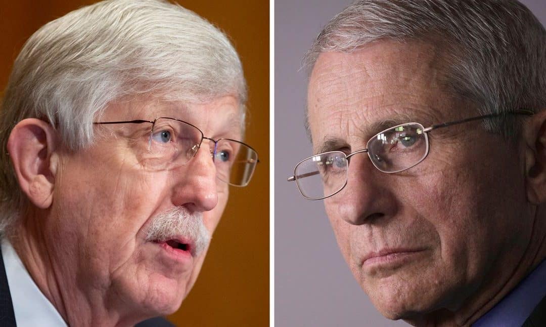 The Collins and Fauci Attack on Traditional Public Health