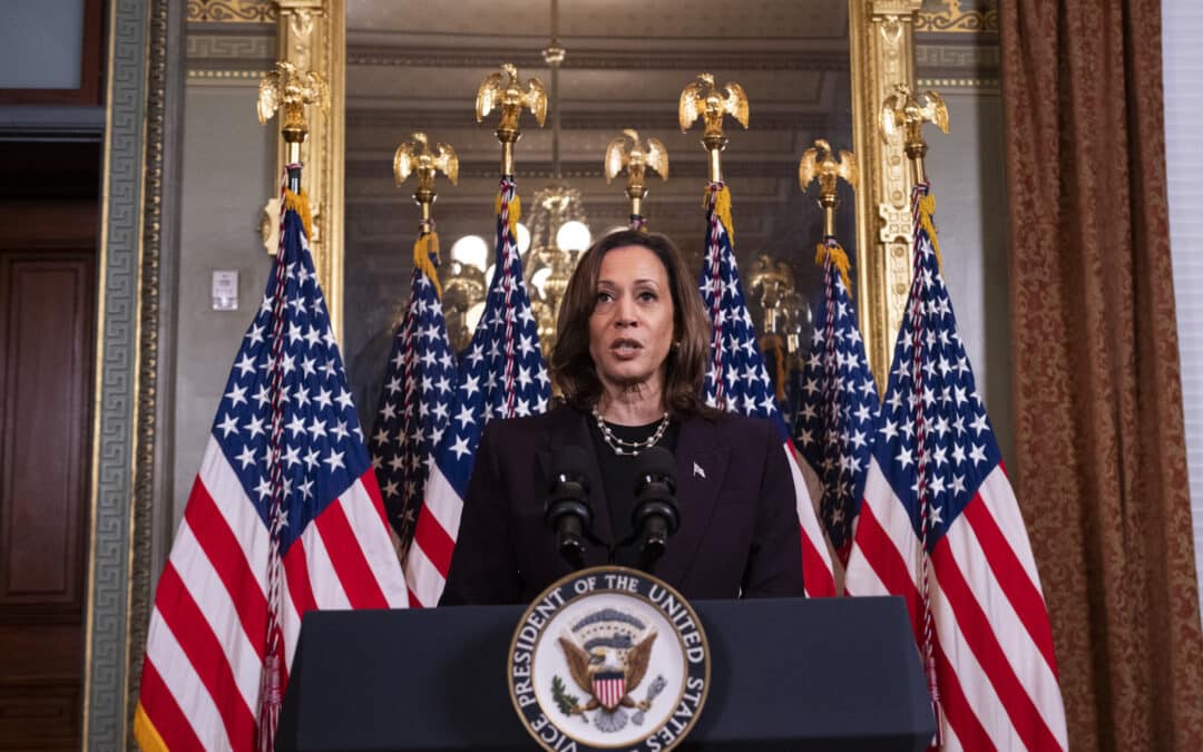 Is There a Risk that Kamala Harris Might ‘Go Soft’ on Foreign Policy?