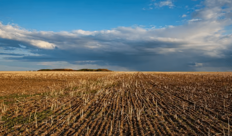 How USAID Assisted the Corporate Takeover of Ukrainian Agriculture